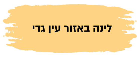 לינה בעין גדי